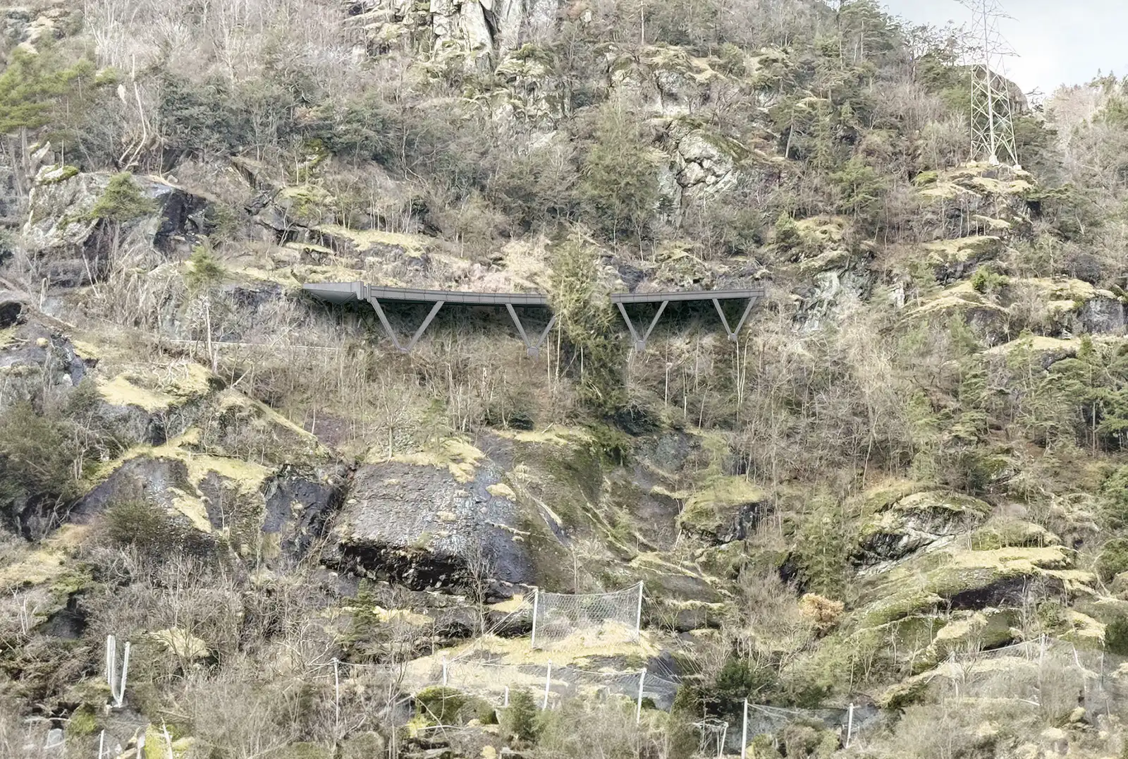 Visualisation de la galerie