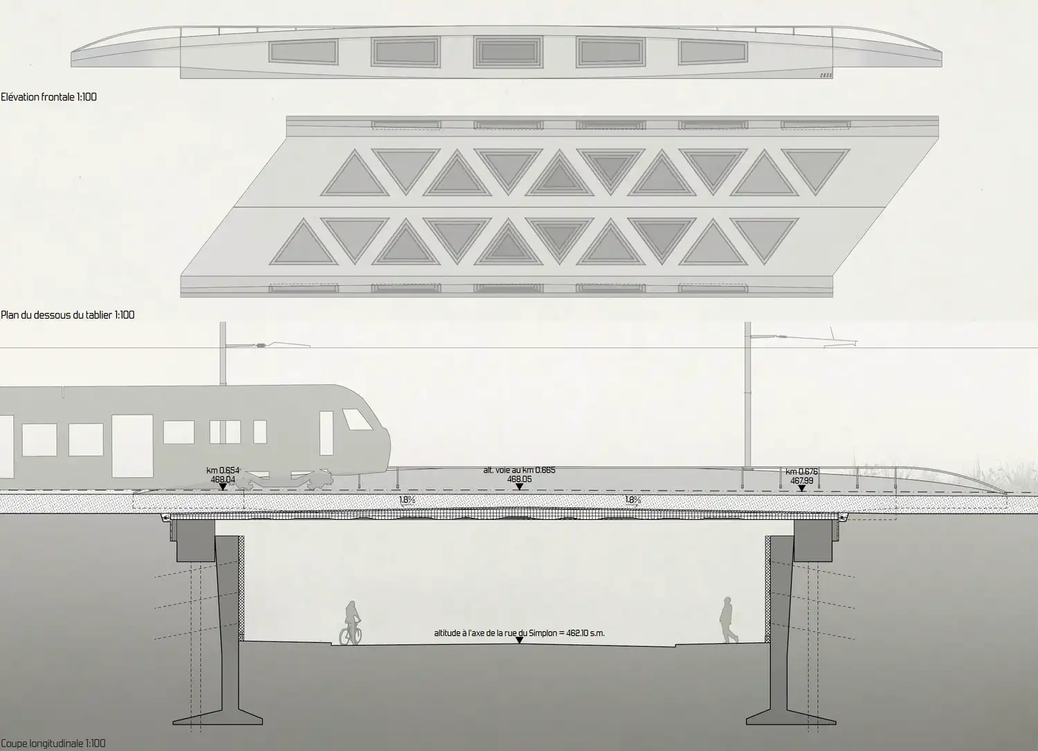 Coupe longitudinale 1:100